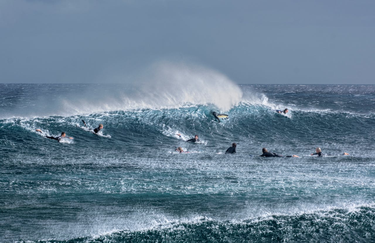 gallery-3 pexels-photo-35308633.jpeg