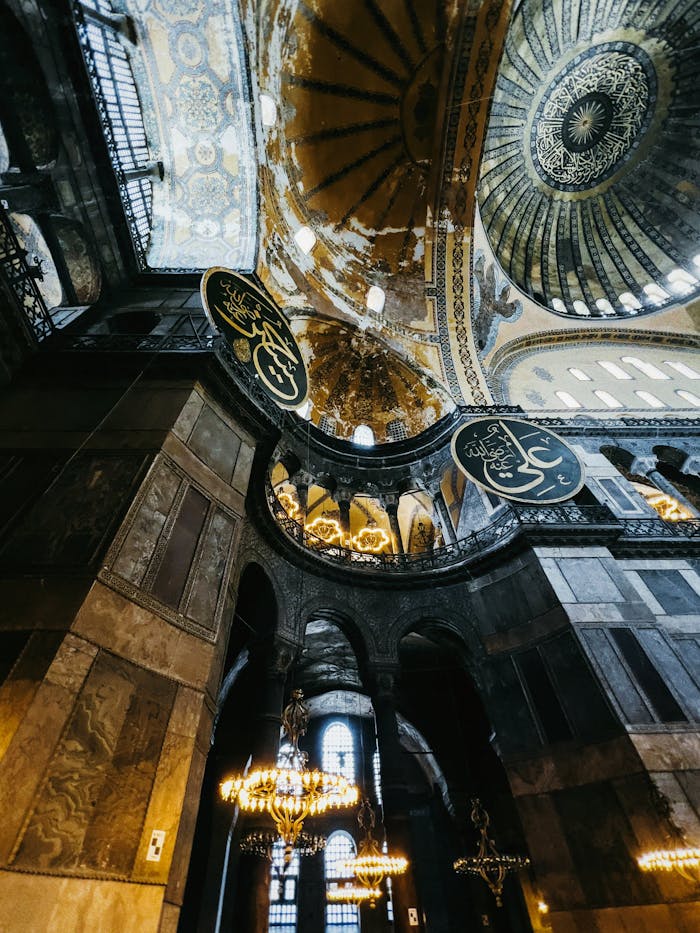 gallery-1 pexels-photo-35314143.jpeg