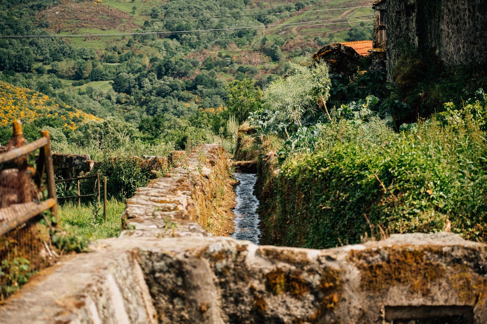 Why Peneda-Geres National Park Deserves a Spot on Your Travel List cover 1315