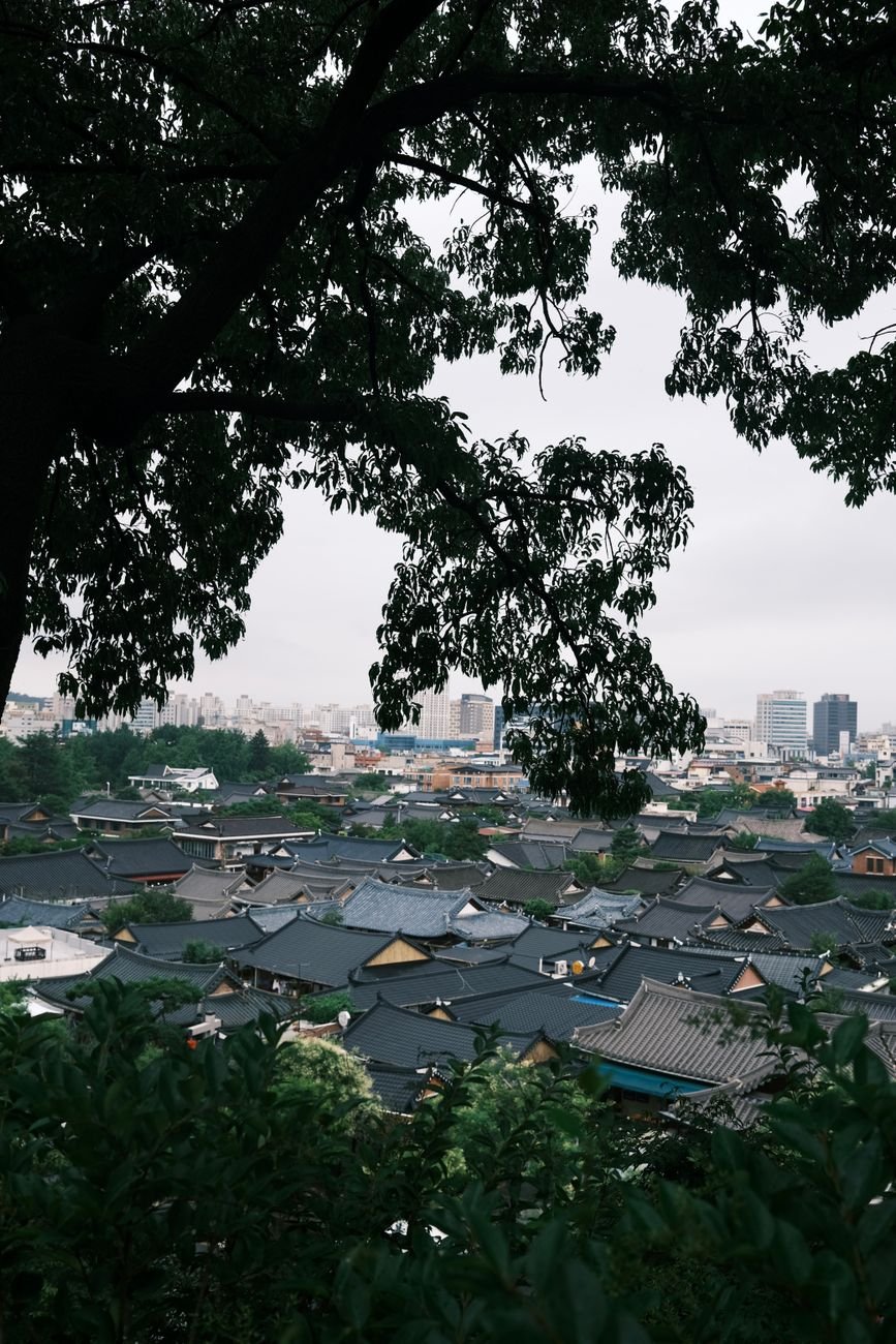 The Case for Visiting Jeonju Before Everyone Else Does cover 2057
