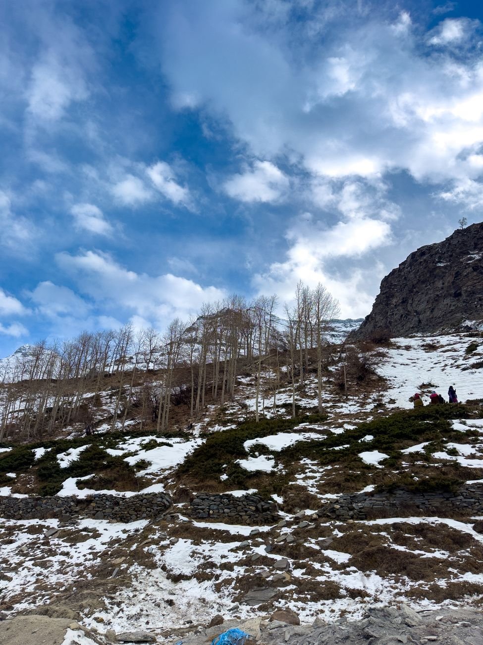 Manali Travel Guide: India cover 2462