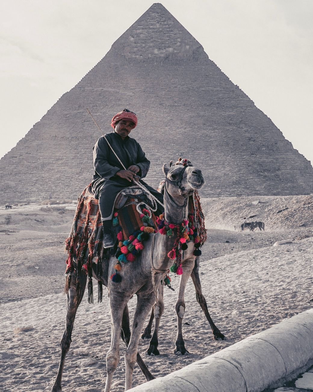 Cairo Travel Guide: Egypt cover 2493